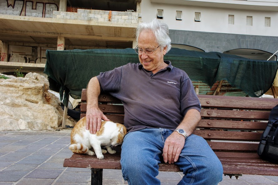 マルタの猫スポット 確実に猫に会える場所を紹介します トラベル旅行記 Com