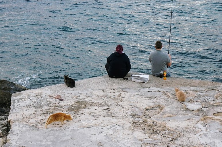 マルタ・スリーマの猫と釣り人