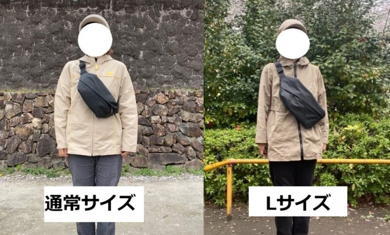セイファスサイズ比較
